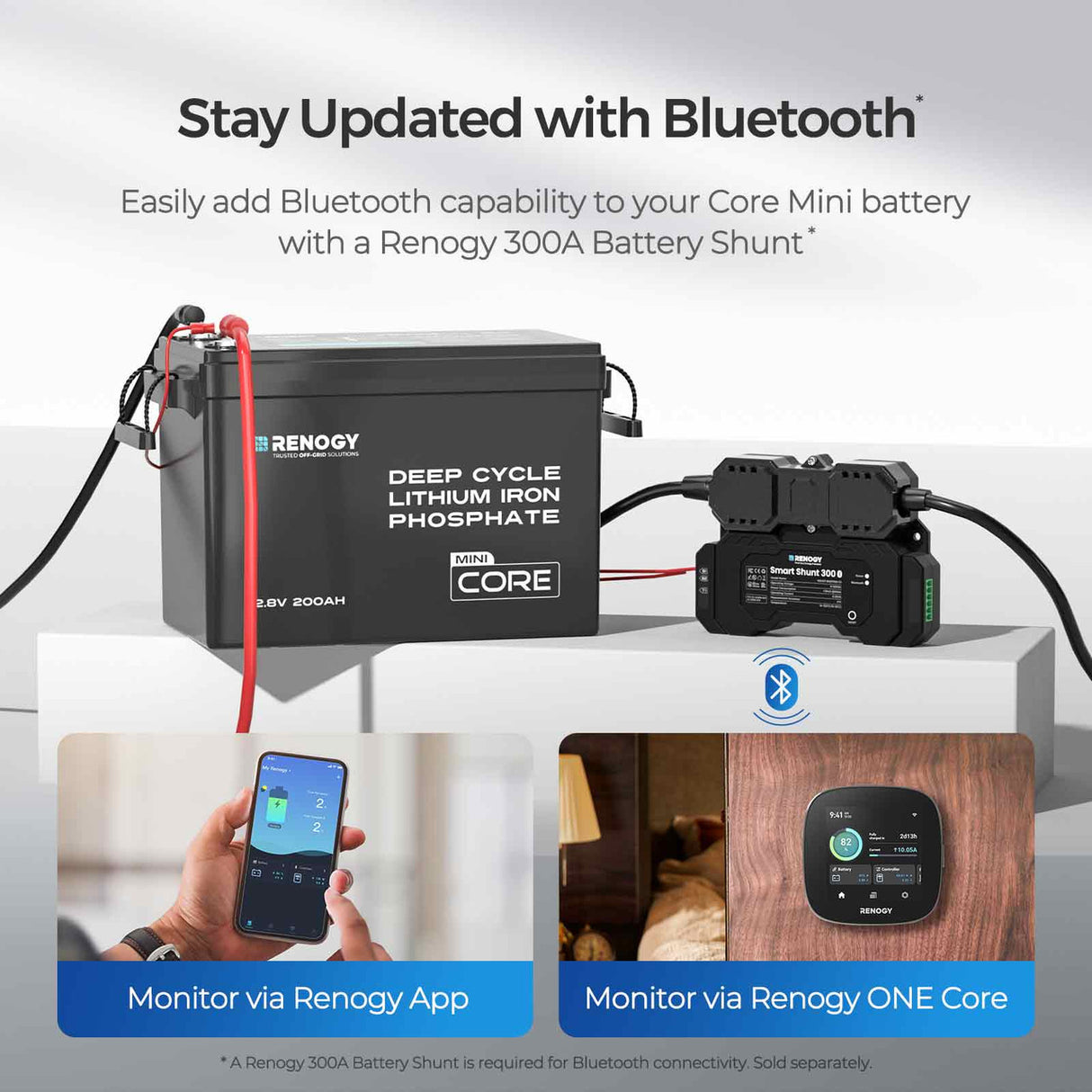 200ah lithium battery renogy , stay updated with bluetooth