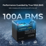 Renogy 100Ah Deep Cycle Lithium Iron Phosphate Battery Performance Guarded By True 100A BMS