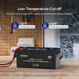 24V 200Ah Core Series Deep Cycle Lithium Battery