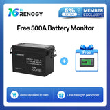 Renogy Core Mini 12.8V 300Ah Lithium Iron Phosphate Battery w/ Low-Temperature Protection