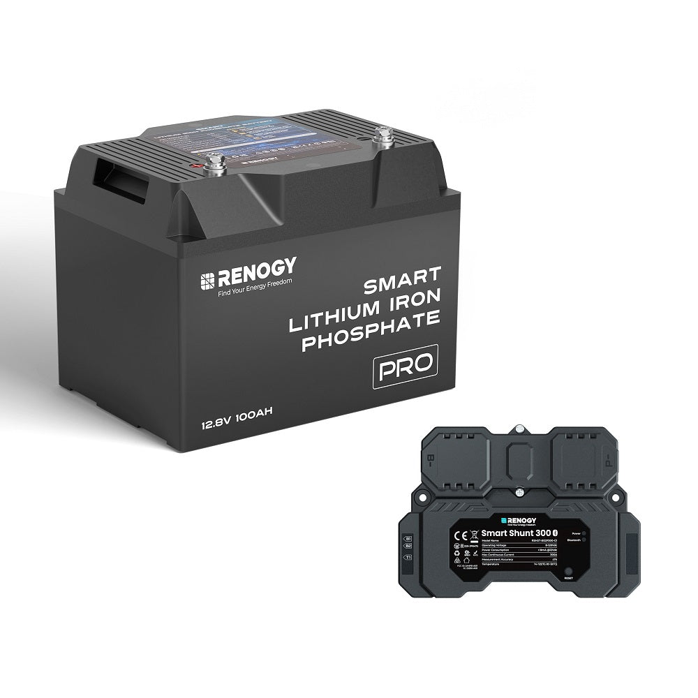 12V 100Ah Pro Deep Cycle Lithium Iron Phosphate Battery w/Bluetooth & Self-heating Function