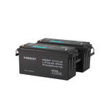Renogy Core - 12V 200Ah Lithium Iron Phosphate Battery w/ Bluetooth