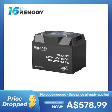 12V 100Ah Lithium Iron Phosphate Battery with Bluetooth & Self-Heating Function | Pro Series