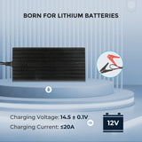 20A  240V AC to DC Lithium Iron Phosphate Battery Charger