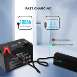 20A  240V AC to DC Lithium Iron Phosphate Battery Charger