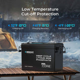 Renogy Core - 12V 200Ah Lithium Iron Phosphate Battery w/ Bluetooth