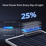 Renogy 16BB N-Type 175 Watt 12V Solar Panel