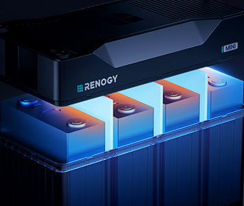 Starting at the Cell Level,
Protection You Can Rely on
