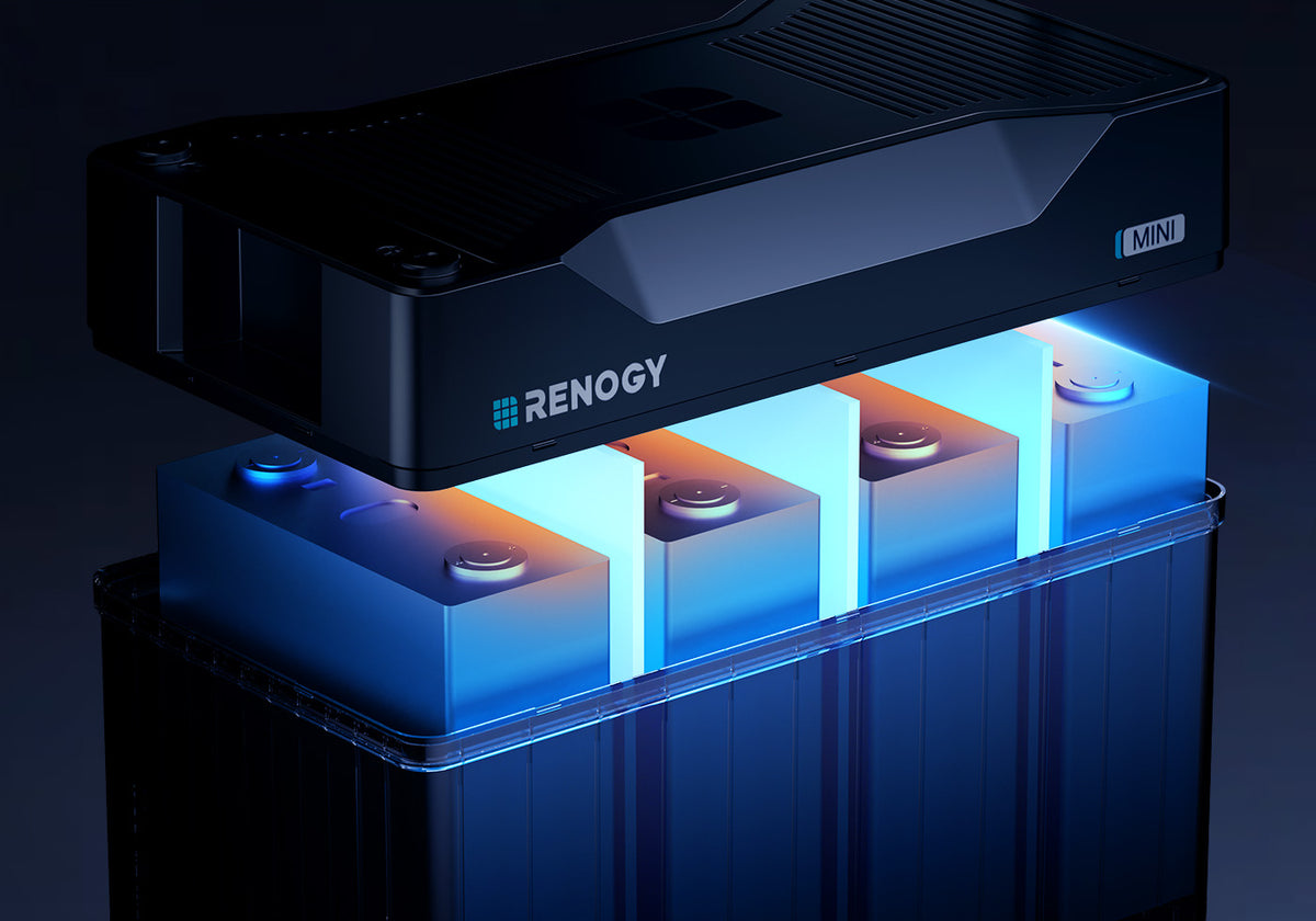 Starting at the Cell Level,
Protection You Can Rely on