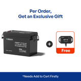 Renogy Core Mini 12.8V 300Ah Lithium Iron Phosphate Battery w/ Low-Temperature Protection