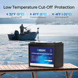 Renogy 12V 100Ah Trolling Motor Group 24 LiFePO4 Battery w/ Bluetooth