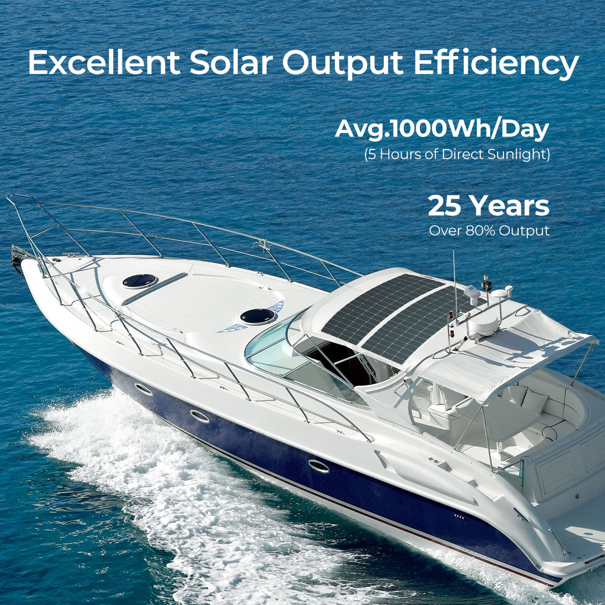 Renogy 200 Watt 12 Volt output efficiency