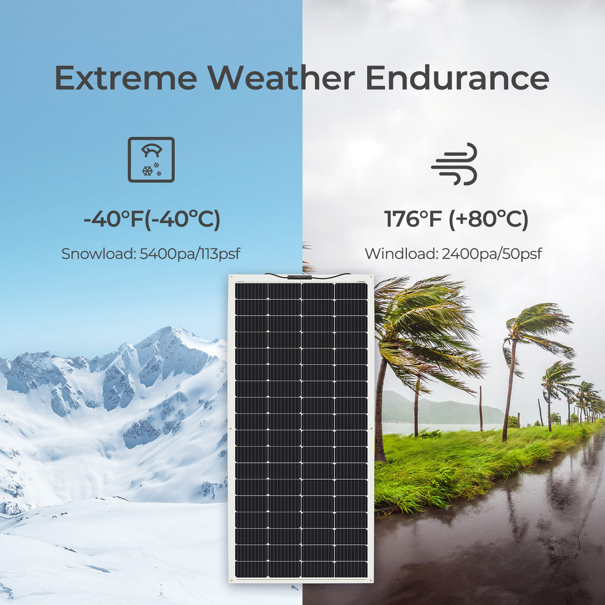 Renogy 200 Watt 12 Volt extreme weather endurance
