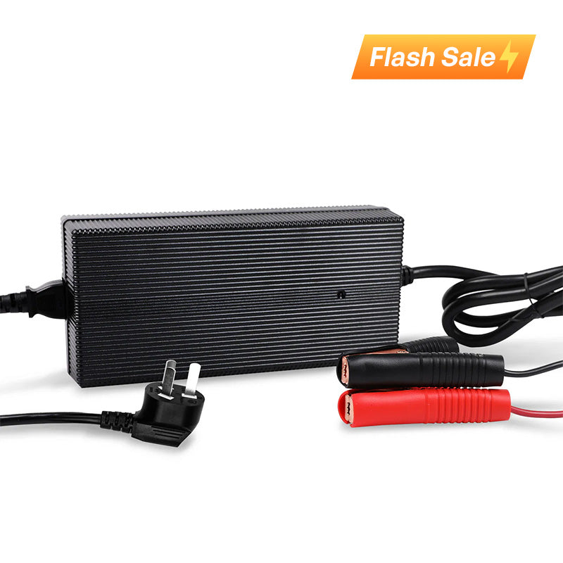 12V 20A AC to DC Lithium Iron Phosphate Battery Charger