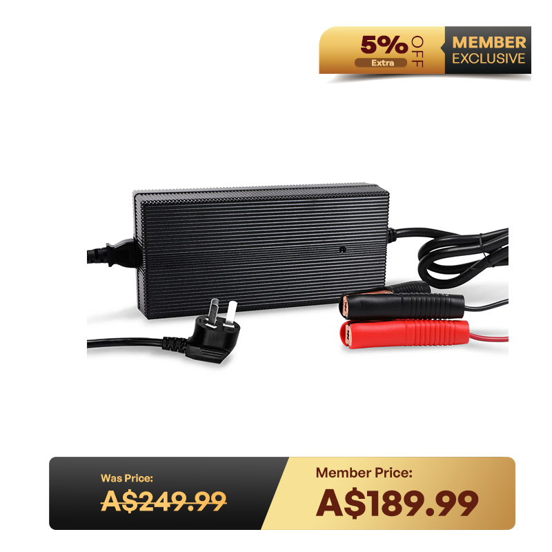 12V 20A AC to DC Lithium Iron Phosphate Battery Charger