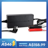 12V 20A AC to DC Lithium Iron Phosphate Battery Charger