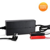 12V 20A AC to DC Lithium Iron Phosphate Battery Charger