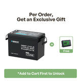 Mini Size 12.8V 200Ah LiFePO4 Battery w/ Low-Temperature Protection