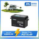 Mini Size 12V 200Ah LiFePO4 Lithium Battery w/ Low-Temperature Protection