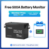 Mini Size 12.8V 200Ah LiFePO4 Battery w/ Low-Temperature Protection