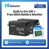 Mini Size 12.8V 200Ah LiFePO4 Battery w/ Low-Temperature Protection