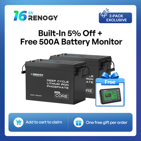 Mini Size 12.8V 200Ah LiFePO4 Battery w/ Low-Temperature Protection