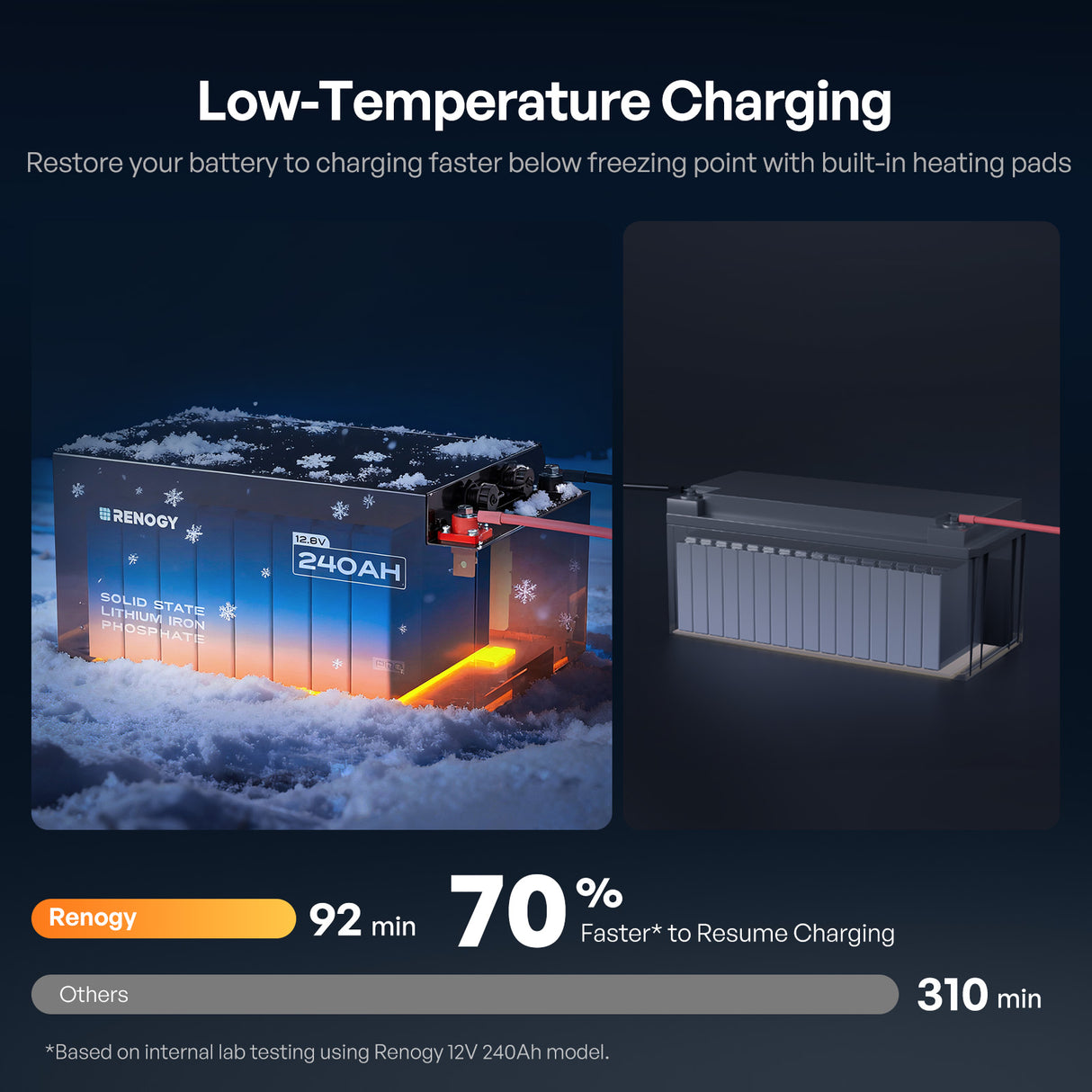 Renogy Pro 12V 240Ah LiFePO4 Battery