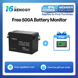 Renogy 300Ah Lithium Battery | 12V LiFePO4 Core Mini, Lightweight & Compact for RV Solar & Off-Grid