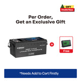 12V 300Ah Core Series Deep Cycle Lithium Iron Phosphate Battery w/Self-Heating