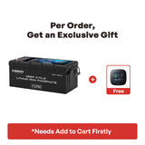 12V 300Ah Core Series Deep Cycle Lithium Iron Phosphate Battery w/Self-Heating