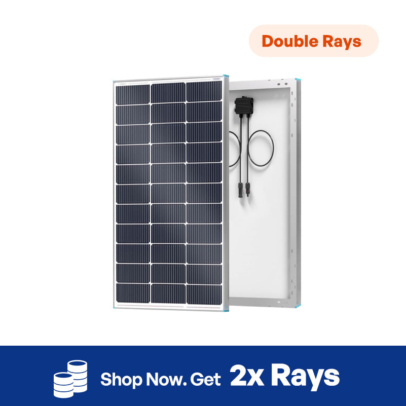 Renogy 16BB N-Type 100 Watt Solar Panel