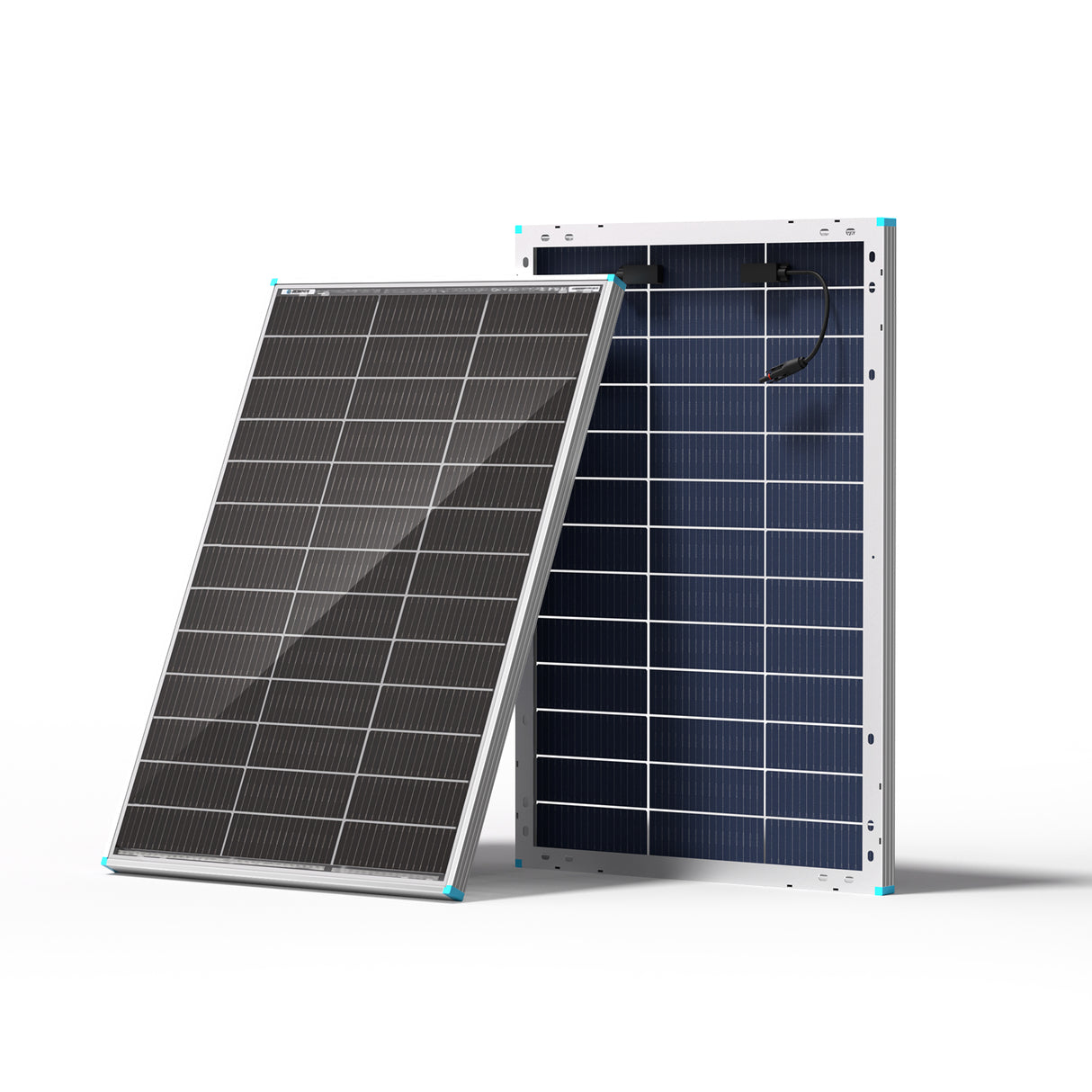 Renogy 100W/200W Mono N-Type Rigid Bifacial Solar Panel